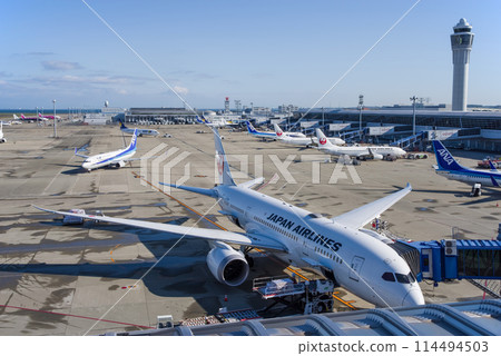 View from the Sky Deck at Chubu Centrair International Airport - Domestic passenger planes parked on the apron 114494503