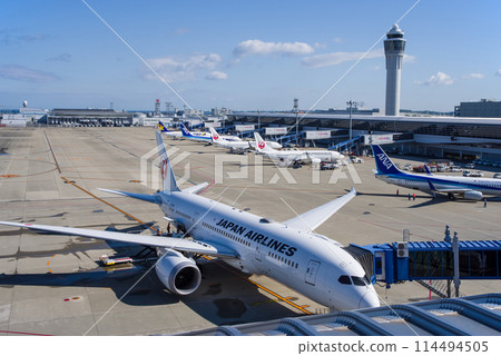 從中部國際機場「Sky Deck」眺望停機坪上停泊的國內客機 從中部國際機場「Sky Deck」眺望停機坪上停泊的國內客機 114494505