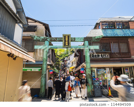 Bronze torii gate at the entrance to Enoshima Shrine 114494509