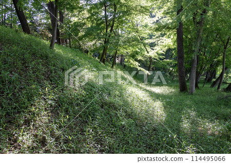 古賀久保館遺址土方工程 114495066