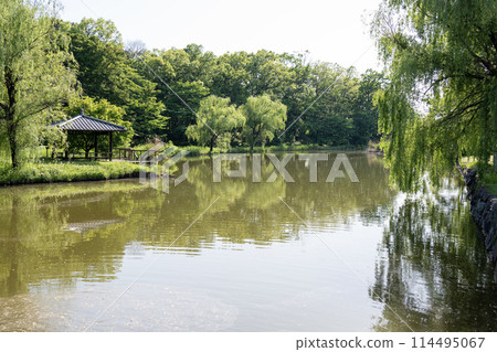 古賀久保館遺址中殘留的御所沼 114495067