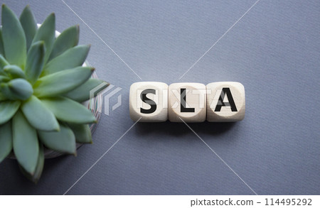 SLA - Service Level Agreement. Wooden cubes with word SLA. Beautiful grey background with succulent plant. Business and Service Level Agreement concept. Copy space. SLA - Service Level Agreement. Wooden cubes with word SLA. Beautiful grey background with succulent plant. Business and Service Level Agreement concept. Copy space. 114495292