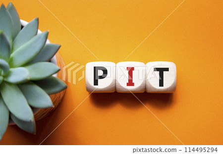 PIT - Personal Income Tax symbol. Wooden cubes with words PIT. Beautiful orange background with succulent plant. Business and PIT concept. Copy space. 114495294