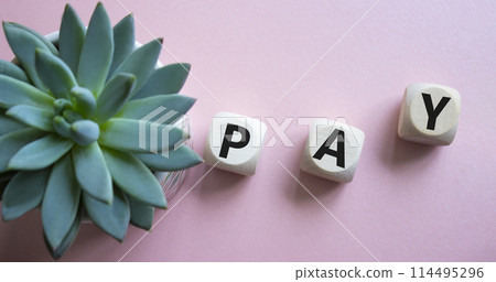 Pay symbol. Wooden cubes with words Pay. Beautiful pink background with succulent plant. Business and Pay concept. Copy space. 114495296