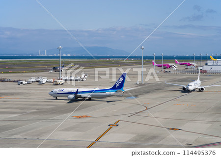 Passenger plane heading to the runway (Central Japan International Airport, Centrair) 114495376