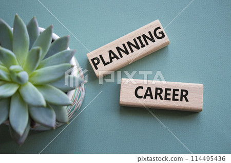 Planning Career symbol. Wooden blocks with words Planning Career. Beautiful grey green background with succulent plant. Business and Planning Career concept. Copy space. 114495436