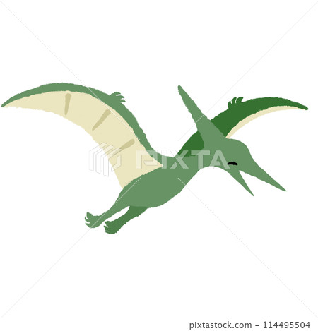 微笑翼龍 114495504