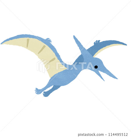 無齒翼龍（有紋理） 114495512