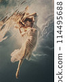 Portrait of a girl in a dress underwater 114495688