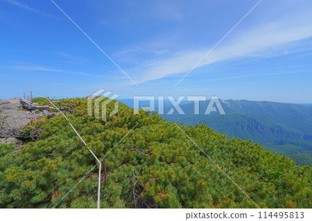 Mt. Mt. 114495813
