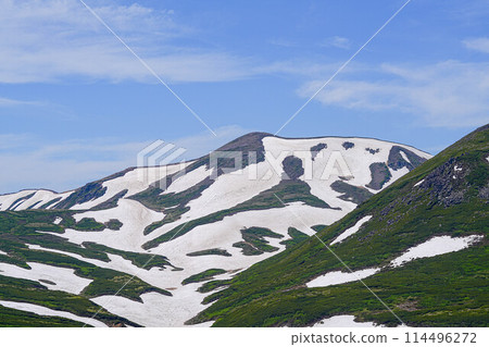 Mt. Mt. 114496272
