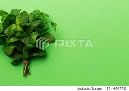 Mint leaf. Fresh mint on Colored background. Mint leaves isolated Top view with copy space 114496558