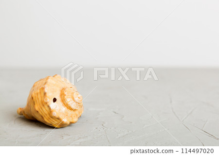 Summer time concept with sea shells or starfish on a table background with copy space for text Summer time concept with sea shells or starfish on a table background with copy space for text 114497020