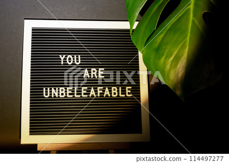 Funny joke idea inscription saying YOU ARE UNBELEAFABLE unbelievable Monstera silhouette leaf in dark background and light from sunset aesthetic lamp. Projector yellow light golden hour effect. House 114497277