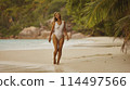 Portrait of a woman with long blond hair on a tropical beach 114497566