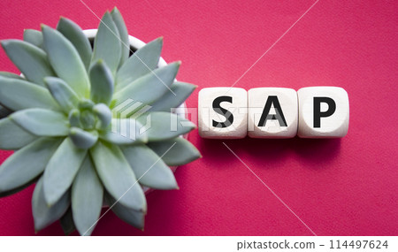 SAP - Systems Applications Products. Wooden cubes with word SAP. Beautiful red background with succulent plant. Business and System Application Product concept. Copy space. 114497624