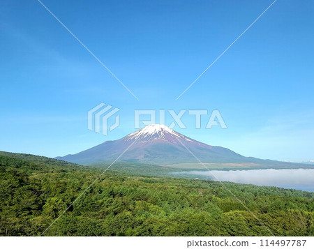 山梨縣/富士山的雪景和雲海 山梨縣/富士山的雪景和雲海 114497787