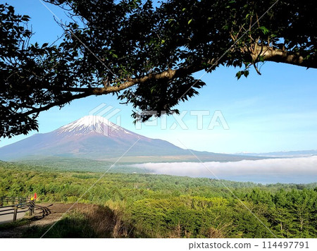 山梨縣/富士山的雪景和雲海 114497791