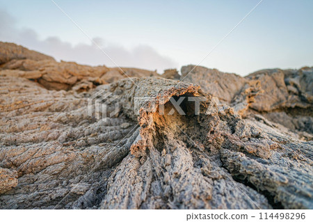 埃爾塔雷火山景觀 114498296