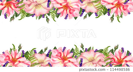 Beautiful banner of pink rosehip flowers and leaves Beautiful banner of pink rosehip flowers and leaves 114498586