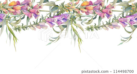 Hand drawn watercolor illustration shabby boho botanical flowers leaves. Willow eucalyptus branch, foxglove snapdragon lupin. Seamless banner isolated on white background. Design wedding, love cards Hand drawn watercolor illustration shabby boho botanical flowers leaves. Willow eucalyptus branch, foxglove snapdragon lupin. Seamless banner isolated on white background. Design wedding, love cards 114498700