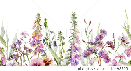 Hand drawn watercolor illustration botanical flowers leaves. Willow eucalyptus, foxglove snapdragon lupin, pink lobelia jasmine, bergenia heliotrope. Seamless banner isolated on white. Wedding, cards Hand drawn watercolor illustration botanical flowers leaves. Willow eucalyptus, foxglove snapdragon lupin, pink lobelia jasmine, bergenia heliotrope. Seamless banner isolated on white. Wedding, cards 114498703