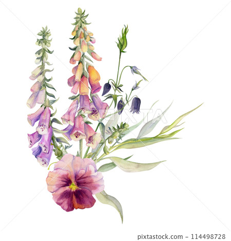 Hand drawn watercolor illustration botanical flowers leaves. Foxglove snapdragon lupin, mauve pansy viola, willow eucalyptus branches, columbine. Bouquet isolated on white. Design wedding, love cards Hand drawn watercolor illustration botanical flowers leaves. Foxglove snapdragon lupin, mauve pansy viola, willow eucalyptus branches, columbine. Bouquet isolated on white. Design wedding, love cards 114498728