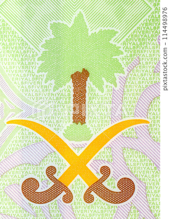 Detail (special character) on the reverse side of the 5 SAR five Saudi Arabia riyals banknote 114498976