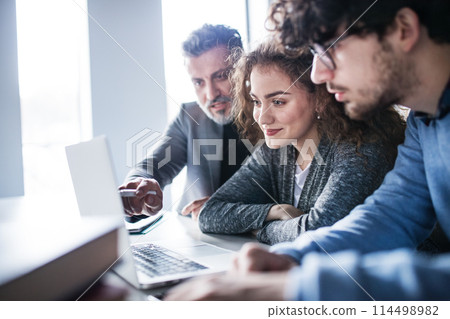 Group of colleagues, business people looking at laptop, working on project together. Brainstorming in modern office space. 114498982