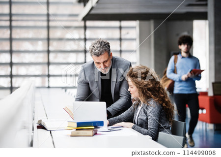 Handsome university professor helping to student final project, showing her research paper, book for thesis in library. Handsome university professor helping to student final project, showing her research paper, book for thesis in library. 114499008