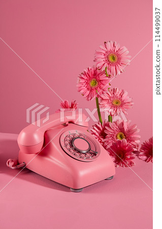 A desk phone in pink color placed on pink background with some branches of gerbera daisy flower. Copy space for adding text, frontal shot photo A desk phone in pink color placed on pink background with some branches of gerbera daisy flower. Copy space for adding text, frontal shot photo 114499037