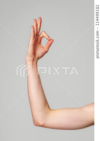 Close-Up of a Hand Gesturing OK Sign Against a Neutral Background Close-Up of a Hand Gesturing OK Sign Against a Neutral Background 114499182