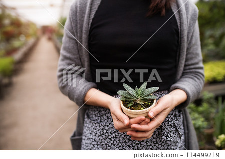 Small greenhouse business. Gardener holding potted succulent. Small greenhouse business. Gardener holding potted succulent. 114499219