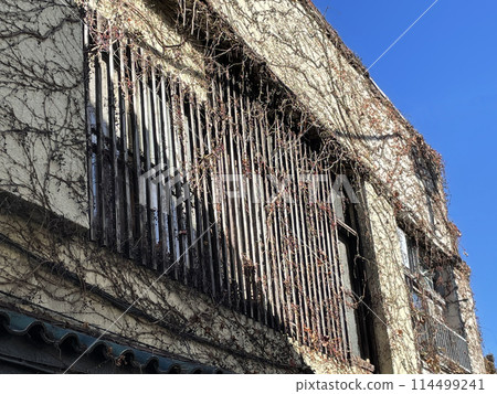 A house with dead ivy entangled on its exterior wall 114499241