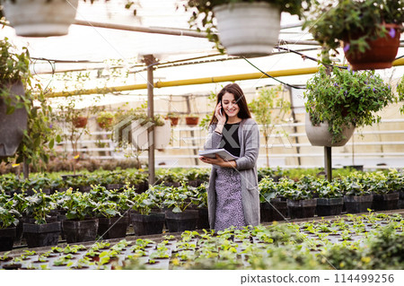 Beautiful business owner phone calling with customer, ordering flowers and seedlings. Small greenhouse business. Beautiful business owner phone calling with customer, ordering flowers and seedlings. Small greenhouse business. 114499256
