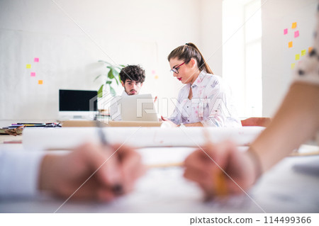 Young group of colleagues working on a new project together in a startup company office. Working in co-working space. Young group of colleagues working on a new project together in a startup company office. Working in co-working space. 114499366