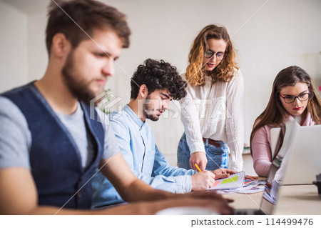 Young group of colleagues working on a new project together in a startup company office. Working in co-working space. Young group of colleagues working on a new project together in a startup company office. Working in co-working space. 114499476