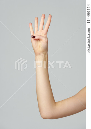 Female hand showing four fingers up on gray background Female hand showing four fingers up on gray background 114499524