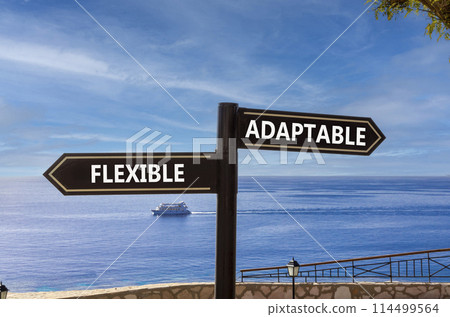 Flexible or adaptable symbol. Concept word Flexible Adaptable on beautiful signpost with two arrows. Beautiful blue sea sky with clouds background. Business flexible or adaptable concept. Copy space. 114499564
