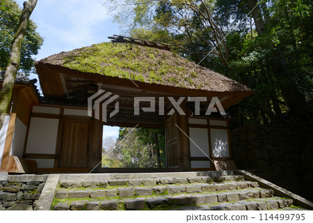 京都市左京區鹿谷法年院三門 京都市左京區鹿谷法年院三門 114499795