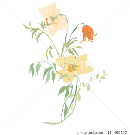 Watercolor abstract flower bouquet of narcissus and tulip. Hand painted wildflowers isolated on white background. Floral illustration for design, print, fabric or background. 114499817