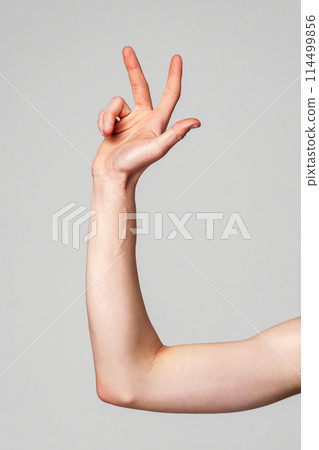 Elevated Bare Human Arm Bent at the Elbow Against a Neutral Background Elevated Bare Human Arm Bent at the Elbow Against a Neutral Background 114499856