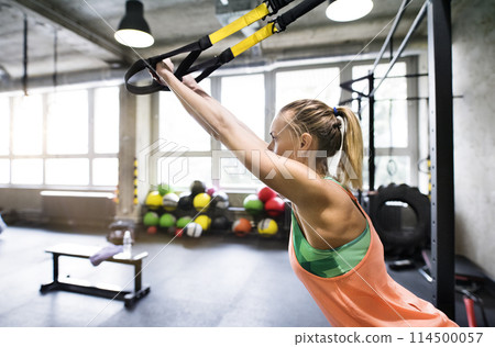 Beautiful sport woman doing suspension training, total resistance exercise. Routine workout for woman's physical and mental health. 114500057