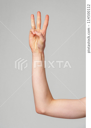 Hand Gesturing Number Three Against a Plain Background in Natural Light Hand Gesturing Number Three Against a Plain Background in Natural Light 114500112