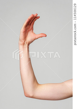 Outstretched Bare Human Arm Against a Plain Gray Background 114500129