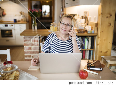 Older woman working from homeoffice, typing on laptop, making phone calls. The retiree earning extra money during retirement. Older woman working from homeoffice, typing on laptop, making phone calls. The retiree earning extra money during retirement. 114500287