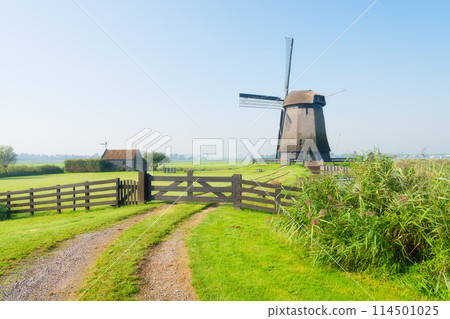 View of an old windmill, Holland. The road leading to the windmill. Agriculture.  114501025