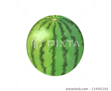 Large watermelon, watercolor 114501191