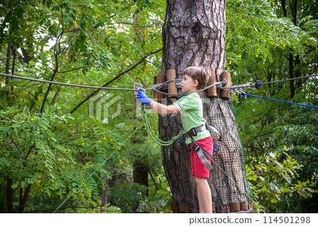 Strong excited young boy playing outdoors in rope park. Caucasian child dressed in casual clothes and sneakers at warm sunny day. Active leisure time with children concept 114501298