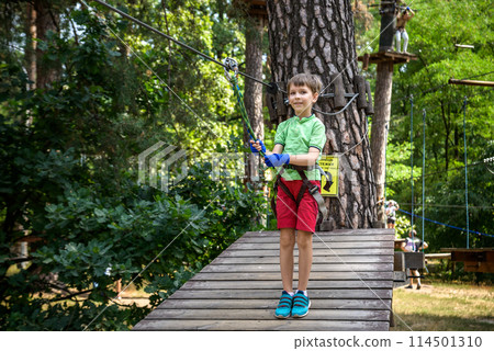 Strong excited young boy playing outdoors in rope park. Caucasian child dressed in casual clothes and sneakers at warm sunny day. Active leisure time with children concept 114501310